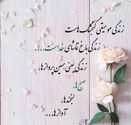زیبا زندگی کن...