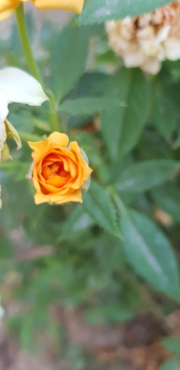 تمرین اعتماد به نفس