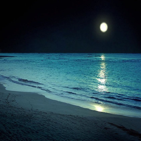 ساحل در شب